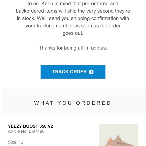 Yeezy Boost 350 V2 - Picture 2 of 2